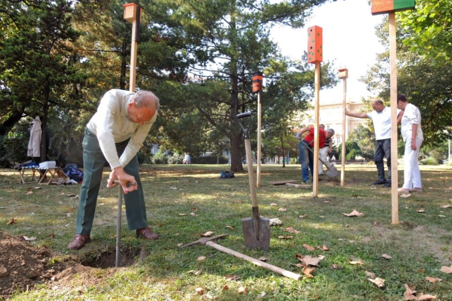 Hana Rejmanová, Bird Paradise, Fotografie ze zásahu 25. září 2016 – umístění ptačích budek v parku na Moravském náměstí, foto: Lenka Sedláčková